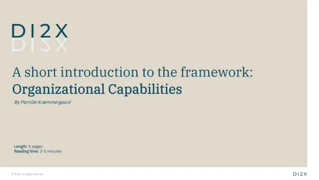 Introduction to framework Organizational Capabilities