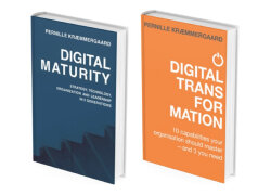 Resource Center - Free access to Pernille Kræmmergaard Digital Transformation & Digital Maturity books